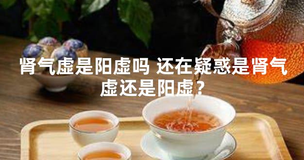 肾气虚是阳虚吗 还在疑惑是肾气虚还是阳虚？